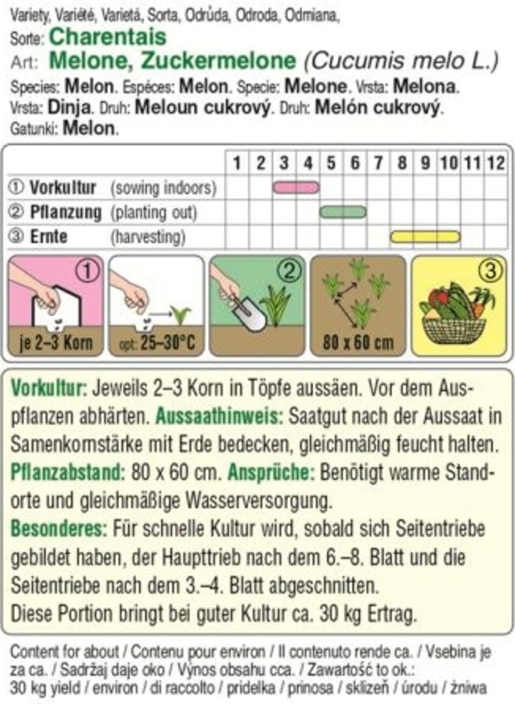 AUSTROSAAT Zuckermelone 