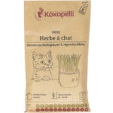 Kokopelli Biologische Gerst (Kattengras)