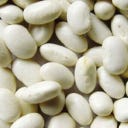 Kokopelli Bio grmičasti fižol 