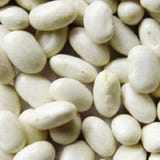 Kokopelli Haricot Nain Bio "Coco Blanc"