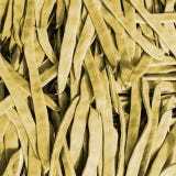 Kokopelli Biologische Snijboon "Goldfield"