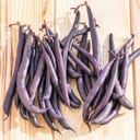 Kokopelli Bio grmičasti fižol “Reine des Pourpres” - 80 g