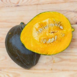 Kokopelli Courge Bio 