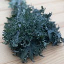 Kokopelli Organic Kale 