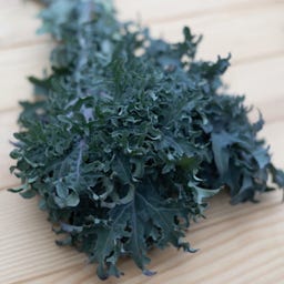 Kokopelli Bio Grünkohl 