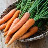 Kokopelli Organic Red Carrots "Rodelika"