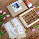 Set de Graines de Fleurs à Couper 