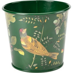 Macetas para Hierbas Aromáticas - Woodland Wonders