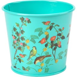 Macetas para Hierbas Aromáticas - Flora & Fauna