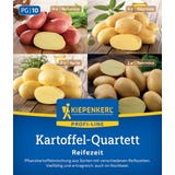 Kiepenkerl Pflanzkartoffel Quartett "Reifezeit"