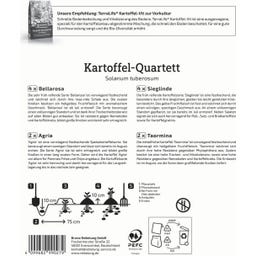 Kiepenkerl Kvartet semenskega krompirja 