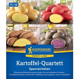 Kvartet semenskega krompirja 