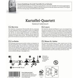 Kvartet semenskega krompirja 