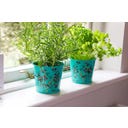 Macetas para Hierbas Aromáticas - Flora & Fauna