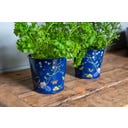 Macetas para Hierbas Aromáticas - British Meadow - 1 set