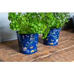 Macetas para Hierbas Aromáticas - British Meadow - 1 set