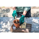 Set para Siembra y Plantación - Woodland Wonders - 1 set