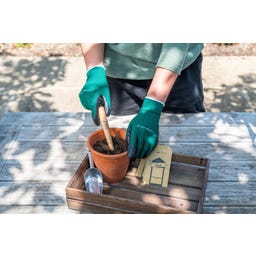 Set para Siembra y Plantación - Woodland Wonders - 1 set