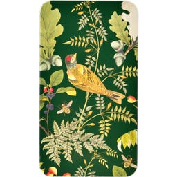 Set para Siembra y Plantación - Woodland Wonders - 1 set