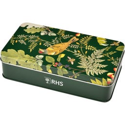 Set para Siembra y Plantación - Woodland Wonders - 1 set