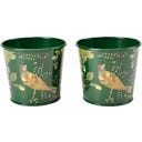 Macetas para Hierbas Aromáticas - Woodland Wonders