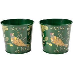 Macetas para Hierbas Aromáticas - Woodland Wonders