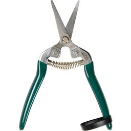 Forbici da Giardinaggio - Woodland Wonders