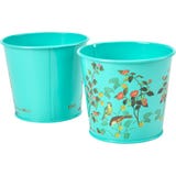 Burgon & Ball "Flora & Fauna" Herb Pots