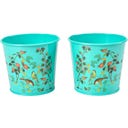 Macetas para Hierbas Aromáticas - Flora & Fauna