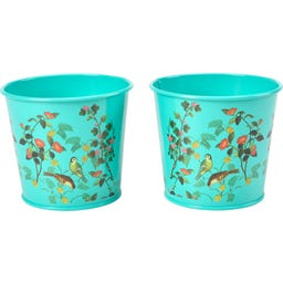 Macetas para Hierbas Aromáticas - Flora & Fauna