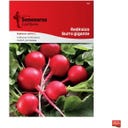 Semenarna Ljubljana Radieschensamen 