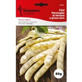 Buschbohnensamen "Meraviglia di Venezia a grano nero"