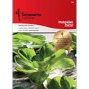 Semenarna Ljubljana Feldsalatsamen 