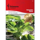 Semenarna Ljubljana Veldsla-zaden "Žličar"