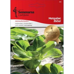 Semenarna Ljubljana Feldsalatsamen 