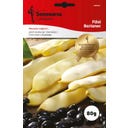 Semenarna Ljubljana Buschbohnensamen 