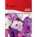 Semenarna Ljubljana Petuniensamen – Mischung - 0,50 g