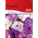 Semenarna Ljubljana Petunia - Miscela