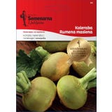 Semenarna Ljubljana Cavolo Rapa - Giallo Burro