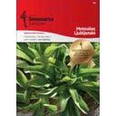 Semenarna Ljubljana Veldsla-zaden 