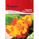 Kapuzinerkressesamen (niedrig) – Mischung - 4 g