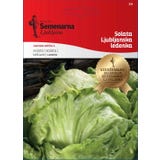 Semenarna Ljubljana Eissalatsamen "Ljubljanska Ledenka"