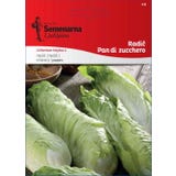 Semenarna Ljubljana Chic&oacute;ria - Pan di Zucchero
