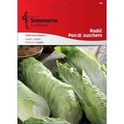 Semenarna Ljubljana Zuckerhutsamen 