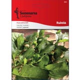 Semenarna Ljubljana Rukola