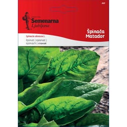 Semenarna Ljubljana Spinatsamen 