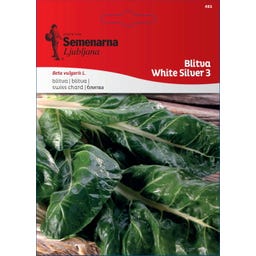 Semenarna Ljubljana Mangoldsamen 