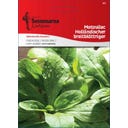 Semena polníčku „Holländischer Breitblättriger“ - 7 g