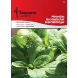 Motovilec "Holl&auml;ndischer breitbl&auml;ttriger"