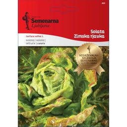 Semenarna Ljubljana Wintersalatsamen 